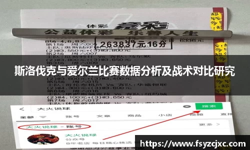 斯洛伐克与爱尔兰比赛数据分析及战术对比研究
